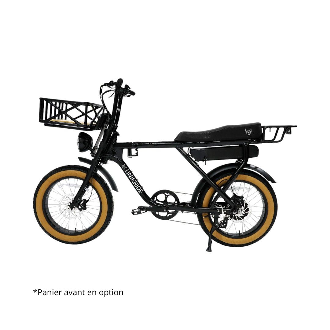 Velo cargo biplace electrique Nantes