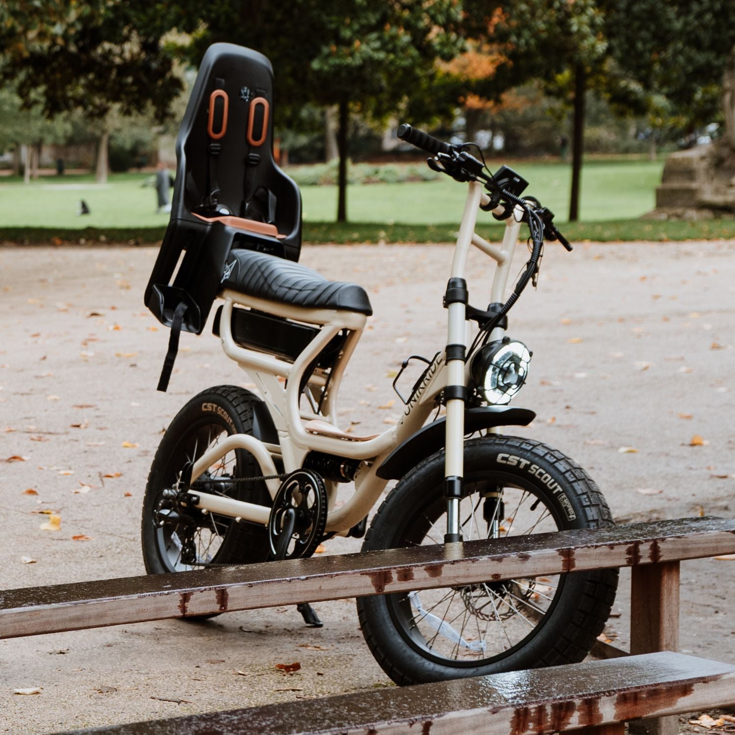 Fat Street Xtrail - Vélo électrique biplace