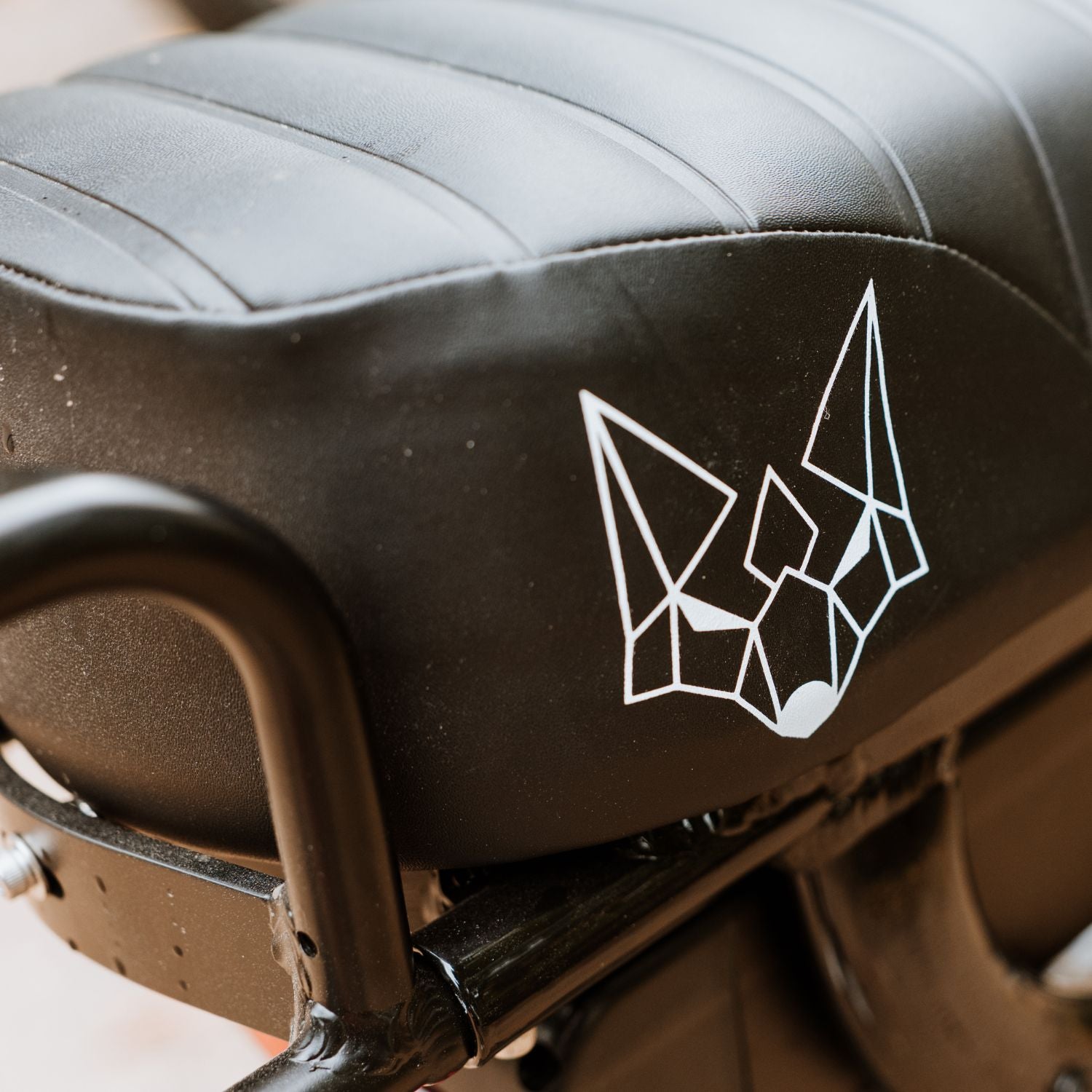 Fat Street X Trail - Electric two-seater bike