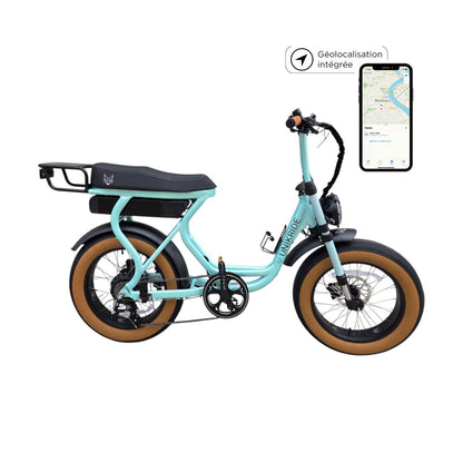 Fatstreet classic - Vélo électrique biplace cargo