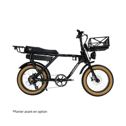 Vélo cargo biplace électrique