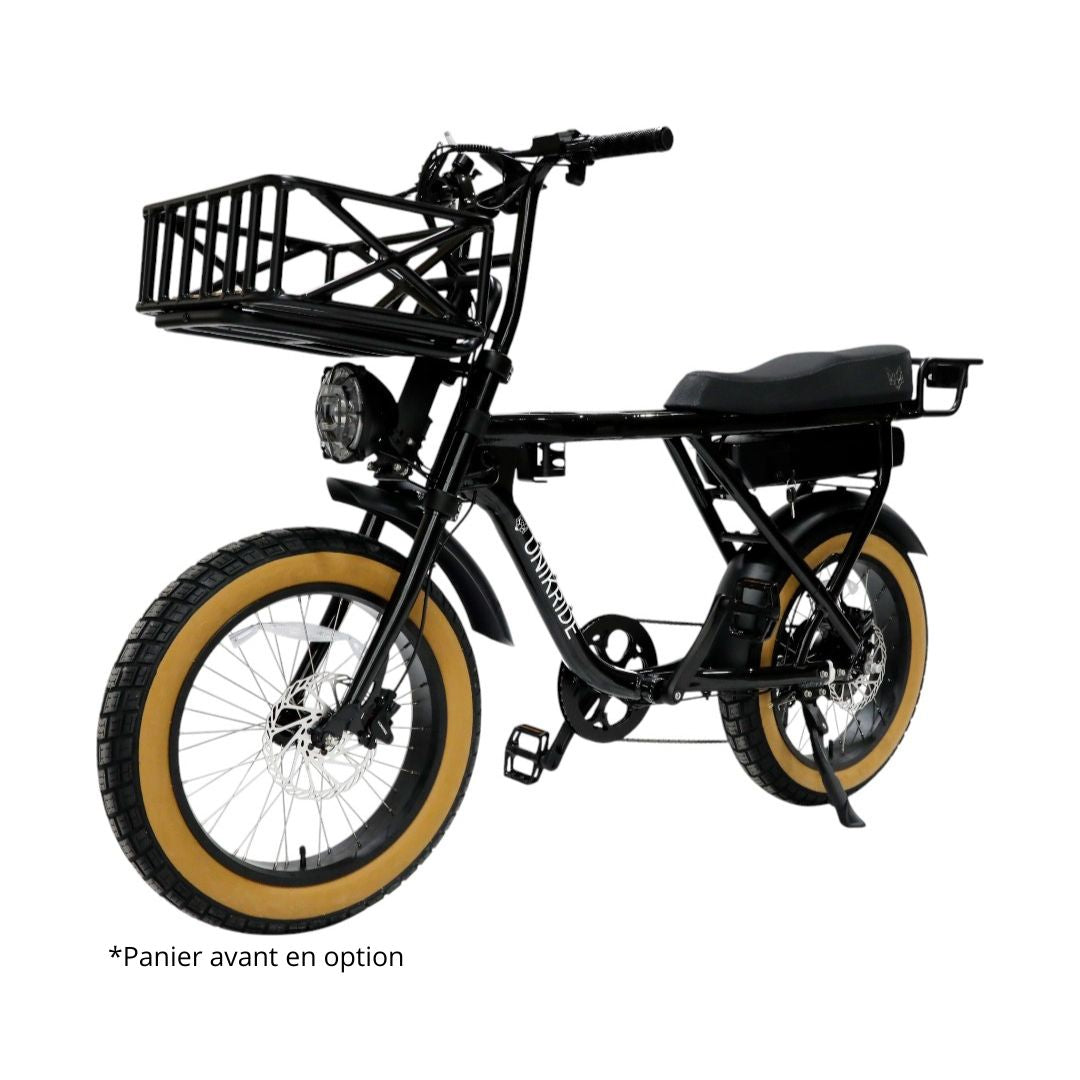 Velo cargo biplace electrique Lyon