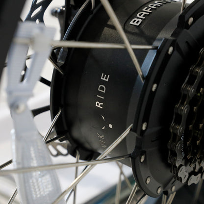 Fat Street XTrail Sport - 2-seater electric bike