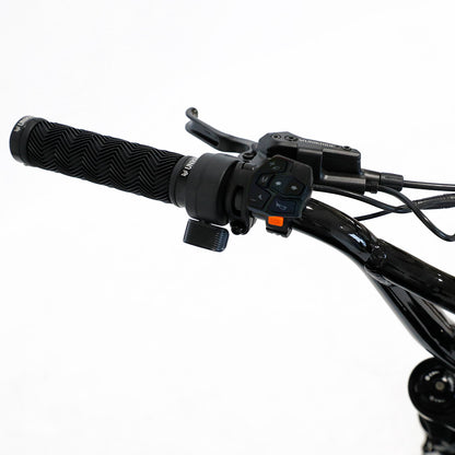 Fat Street XTrail Sport - 2-seater electric bike