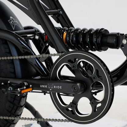 Fat Street XTrail Sport - 2-seater electric bike