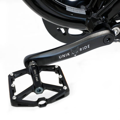 Fat Street XTrail Sport - 2-seater electric bike