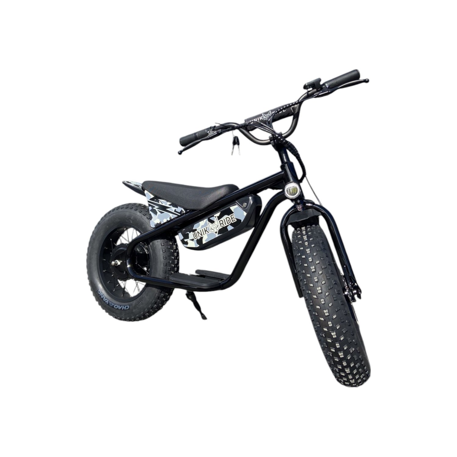Controller voor Fat Fun elektrische loopfiets