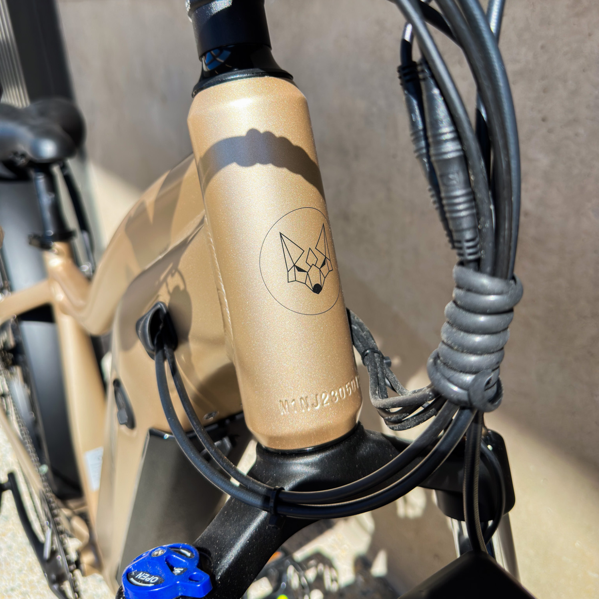 VTT CADRE FERMÉ - ALL ROAD BIKE