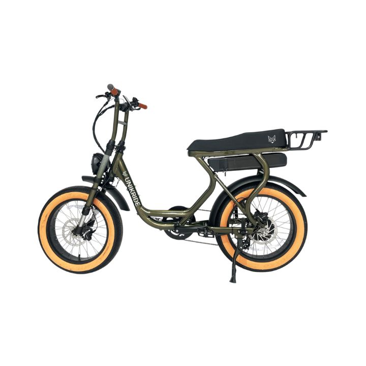 Bicicletta Fat Bike Icon Recensioni Two-seater Electric Bike I