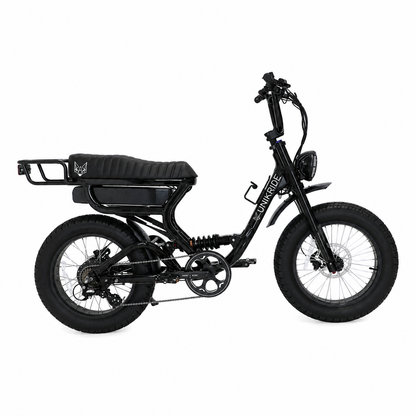 Fatstreet XTrail Sport cadre bas, vélo électrique biplace noir vue de profil