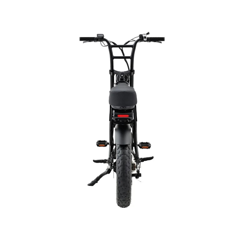 Vue arrière du fatbike biplace Grandeux Xplore avec feu arrière