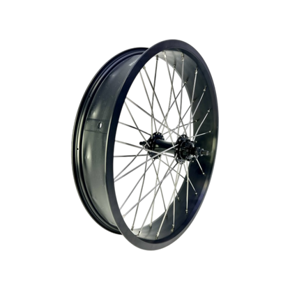 Roue avant 20 x 4 – Jante 80 mm avec moyeu argent (frein à disque)