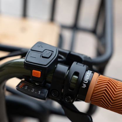 Fatstreet classic - Vélo électrique biplace cargo