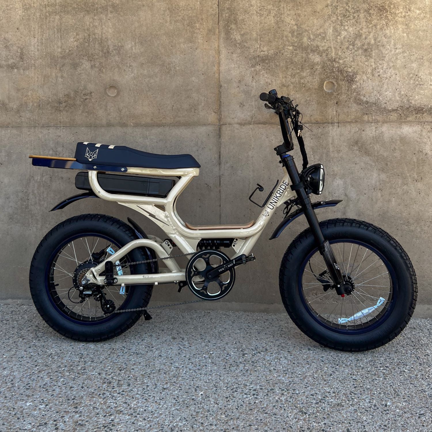 Vélo électrique 2 places Fatstreet Xtrail Limited vue de profil avec pneus fat bike