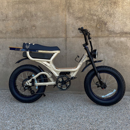 Vélo électrique 2 places Fatstreet Xtrail Limited vue de profil avec pneus fat bike