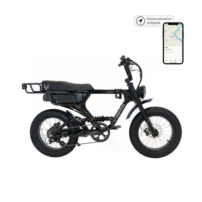 vélo électrique 2 places